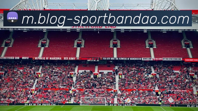 半岛体育APP 封面图